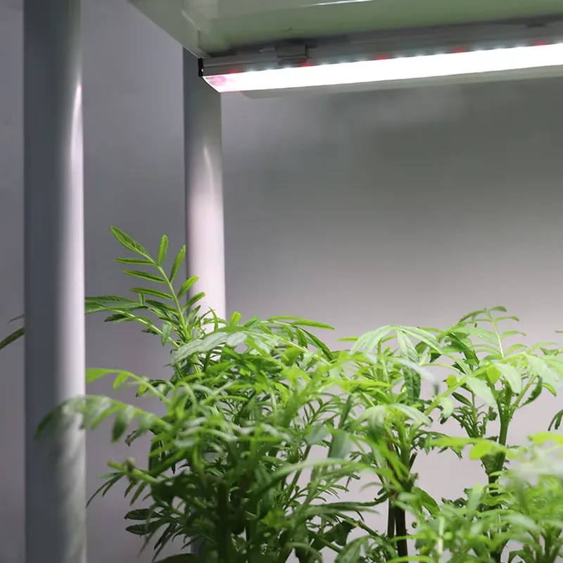 Smart Garden Box - Beweglicher Vertikaler 3-Ebenen-Gartenbehälter mit Selbstbewässerung und