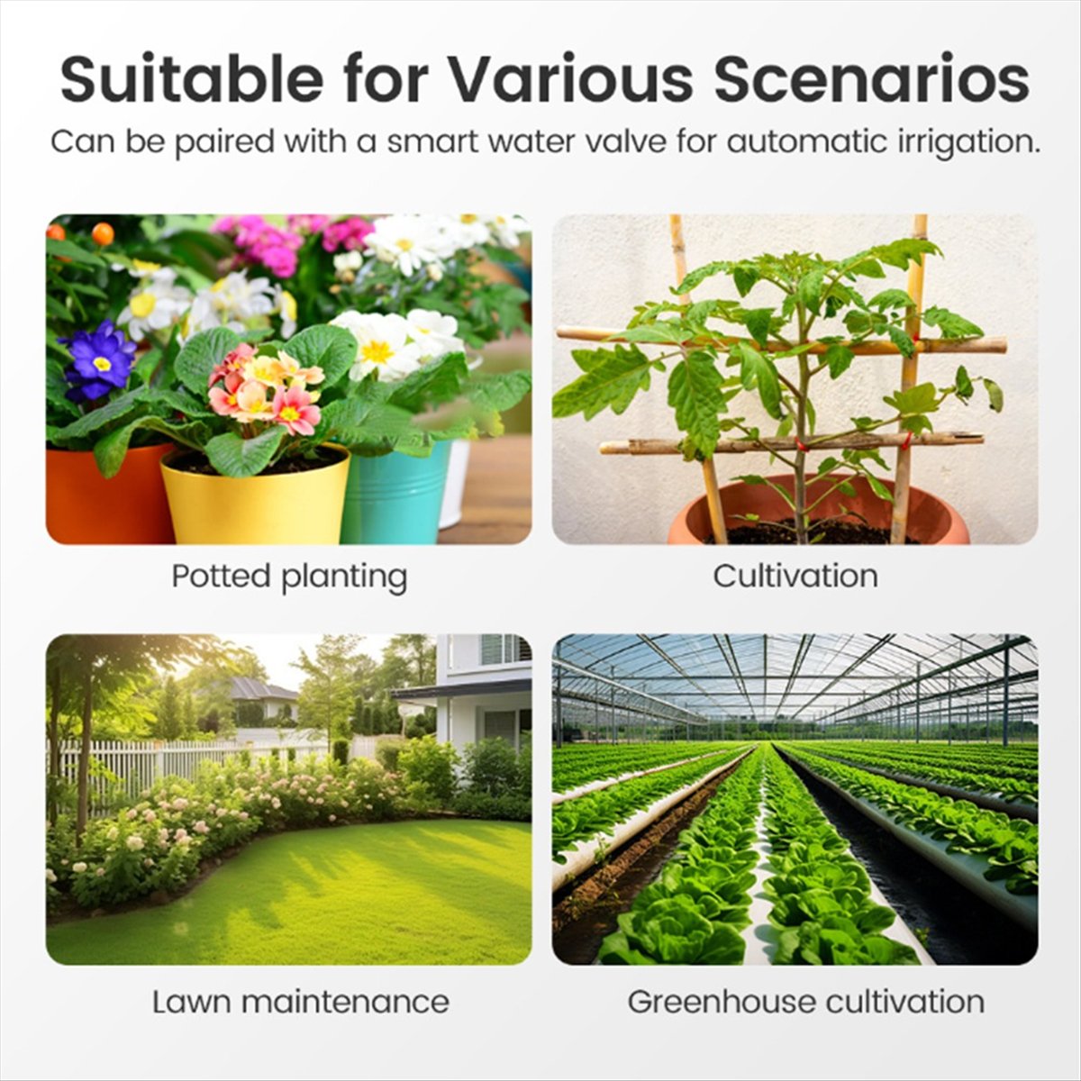 Smart Garden Moisture Sensor - ABJA Tuya Zigbee Smart Bodentester Feuchtigkeits-