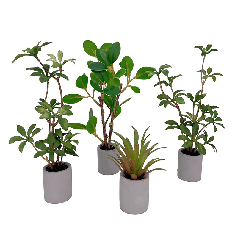 Antike Puppenhaus Miniatur Top – Smart Garden Mini Bewertung und Preis