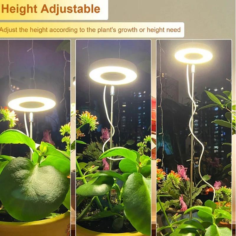 Wachstumslichter für Zimmerpfl – Smart Garden Indoor Bewertung und Preis
