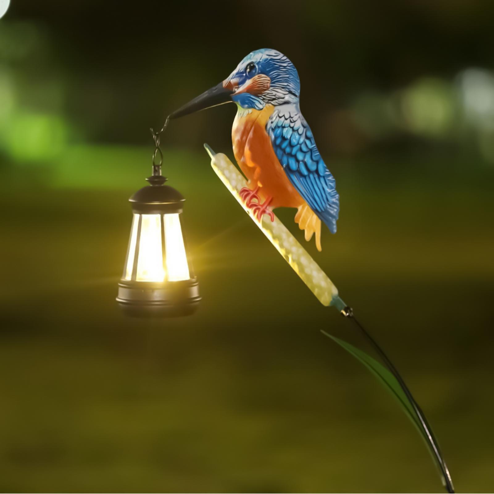 Solarbetriebene Eisvogel-Licht – Smart Zen Garden Bewertung und Preis