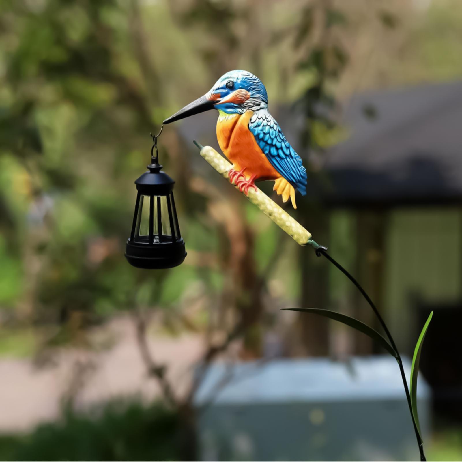 Solarbetriebene Eisvogel-Licht – Smart Zen Garden Bewertung und Preis