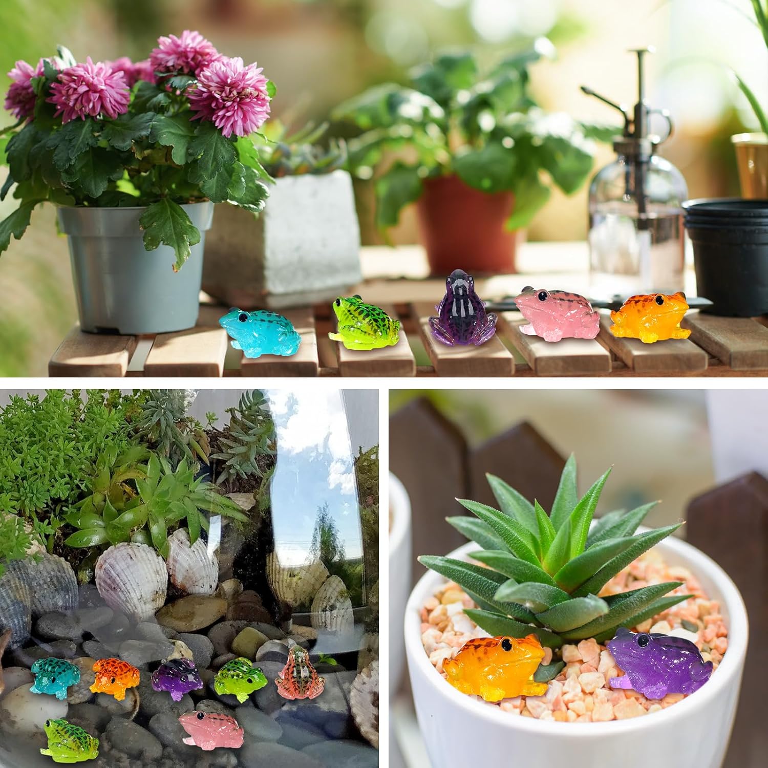 50/20 Stück Miniatur-Froschfig – Smart Garden Mini Bewertung und Preis