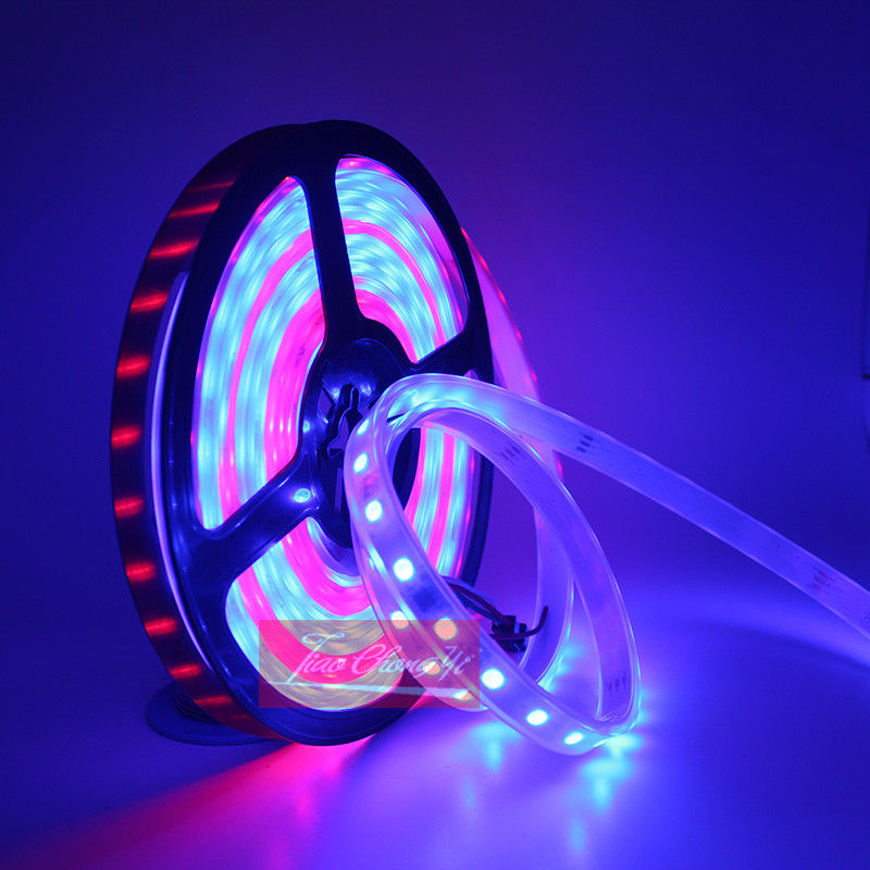 DC12V 5M Chasing Dream Magic C – Smart Garden Diy Bewertung und Preis