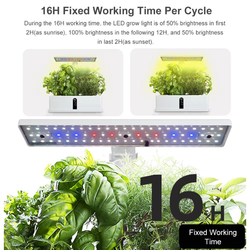 9-Pods Smart Hydroponisches An – Smart Pod Garden Bewertung und Preis
