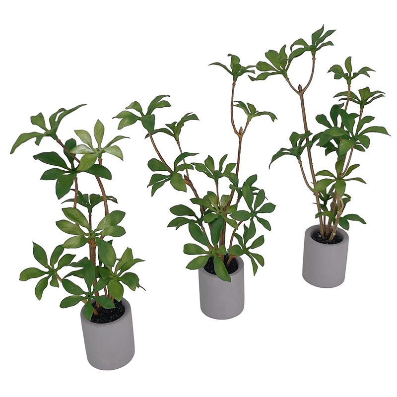 1:6 Puppenhaus Miniatur Topfpf – Smart Garden Mini Bewertung und Preis
