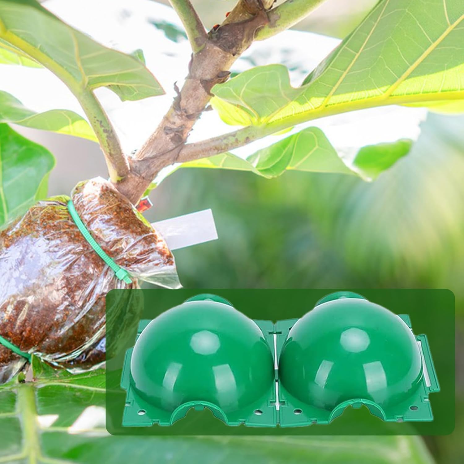 Wiederverwendbare Pflanzenverm – Smart Garden Box Bewertung und Preis
