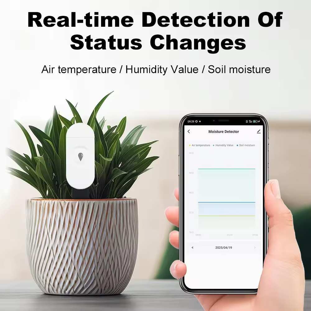 Tuya Zigbee Temperatur Feuchti – Smart Garden Moisture Sensor Bewertung und Preis