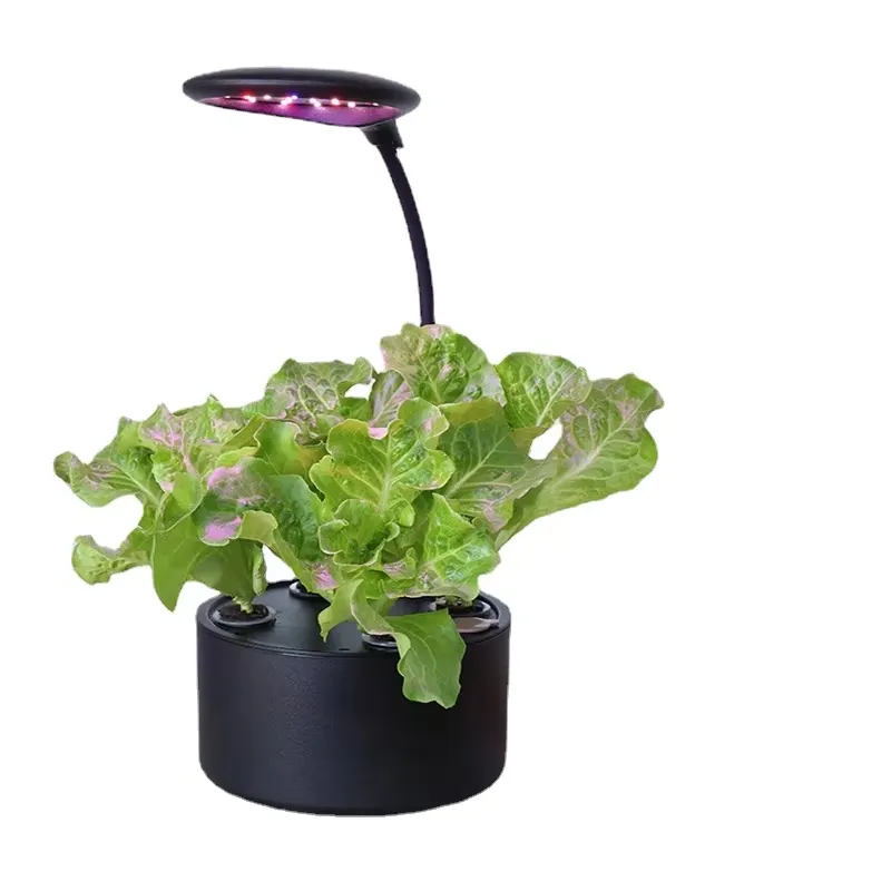 für Smart Home Intelligente Bo – Smart Garden Box Bewertung und Preis