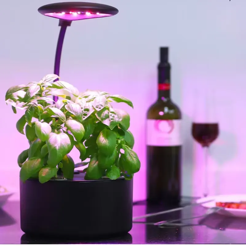 für Smart Home Intelligente Bo – Smart Garden Box Bewertung und Preis