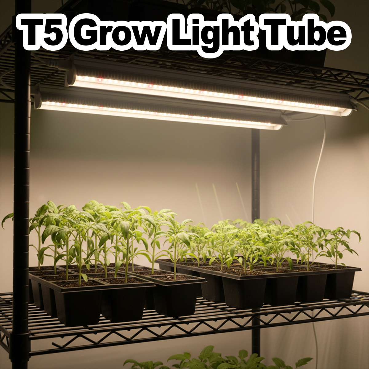 T5 Pflanzenlampe mit Hohem PPF – Smart Garden Indoor Bewertung und Preis