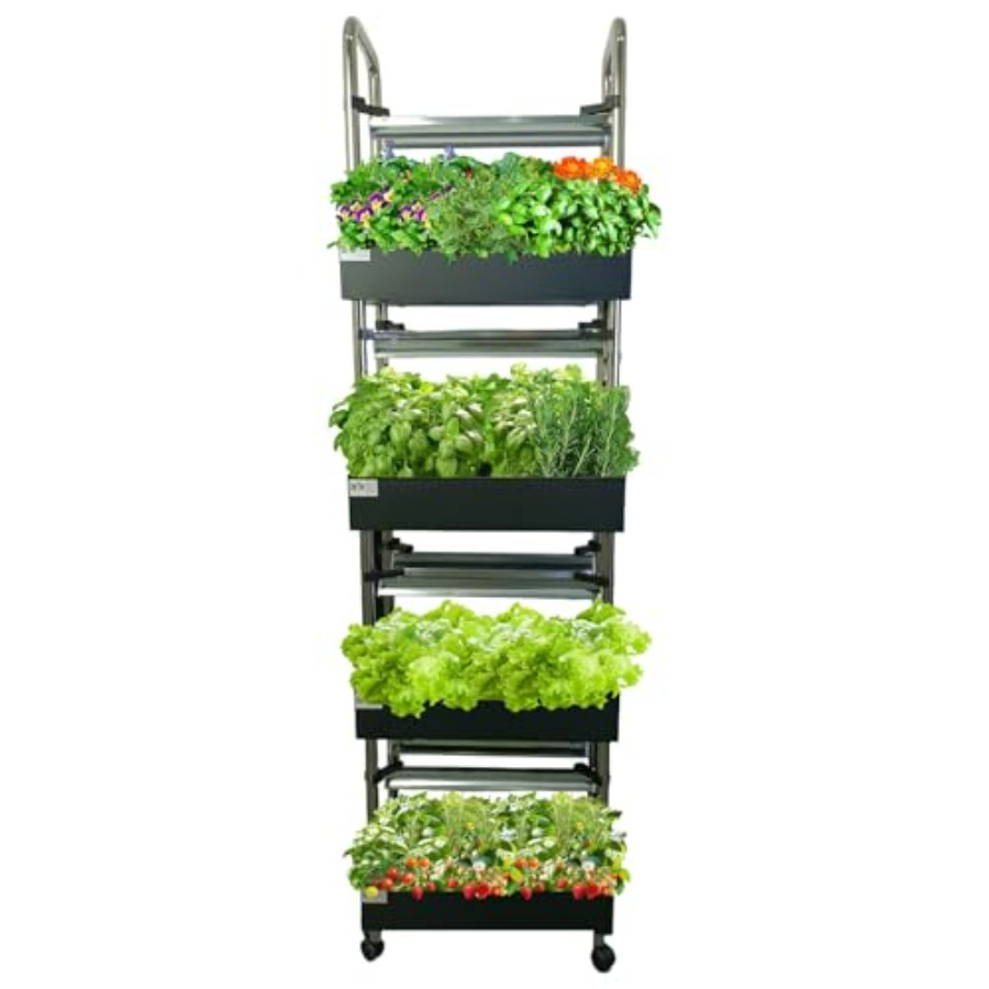 Indoor-Hydrokultur-Anbausystem – Smart Garden Indoor Bewertung und Preis