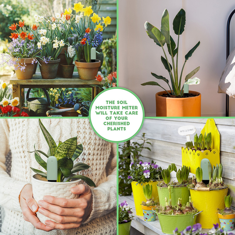 Hhcc Flora Care Monitor Garten – App Smart Garden Bewertung und Preis